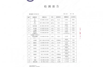 检验报告